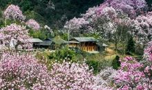 春天比喻句大全