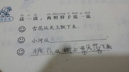 小荷做了个比喻