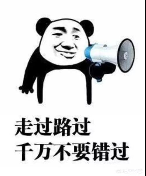 永恒经典报价