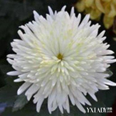 哀悼诗