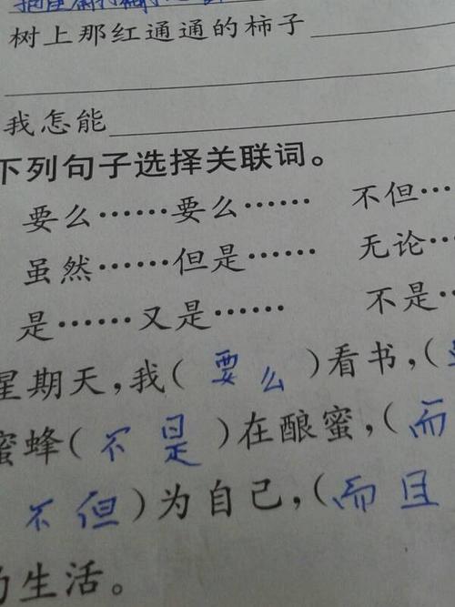 柿子作隐喻