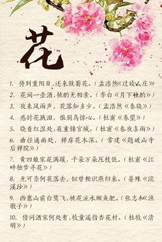 风花雪月