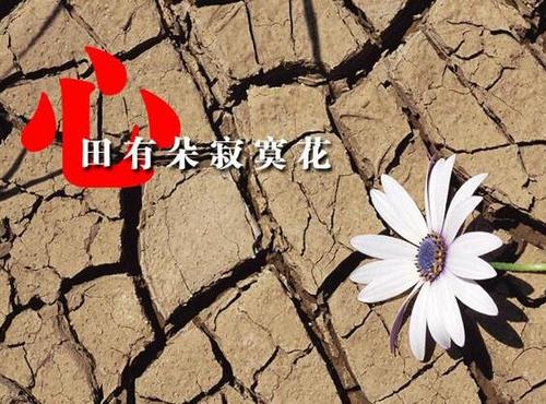 一句话干