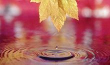 形容秋雨比喻句