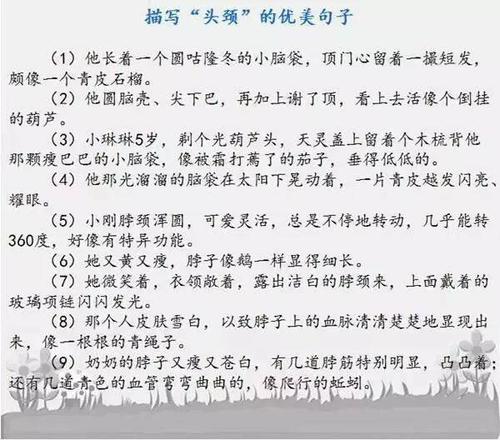 描述外观的好句子