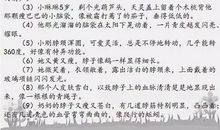 描写外貌的好句