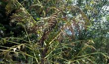 阻碍前进的东西歇后语