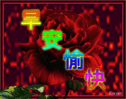 星期三的祝福