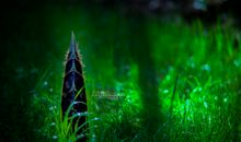 竹笋出土歇后语