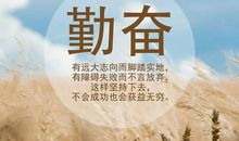 朋友圈励志正能量语录