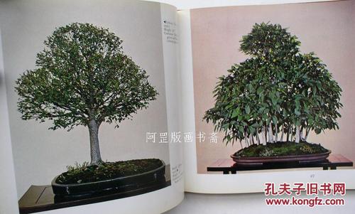 关于松柏的寓言