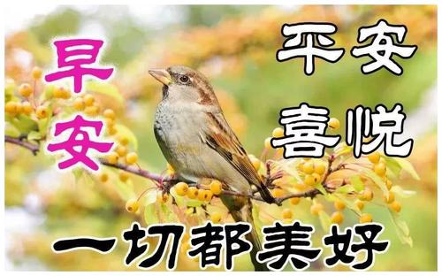 早安祝福