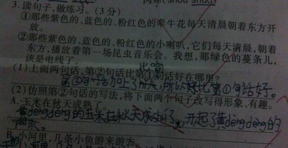 大自然的隐喻