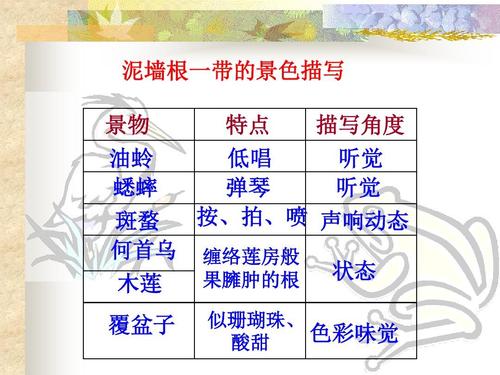 描述珊瑚的比喻句子