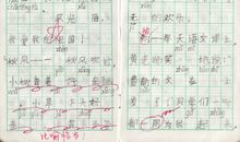 失去造句一年级大全