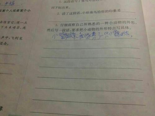 用句子描述小动物的外表