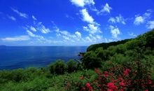 关于大海比喻句