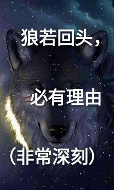 企业家刑