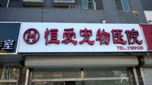 宠物医院的口号