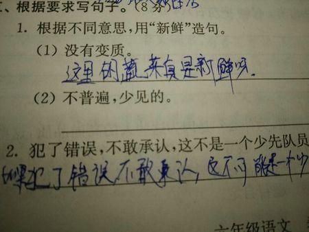一句话各种