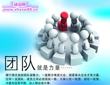 团队合作