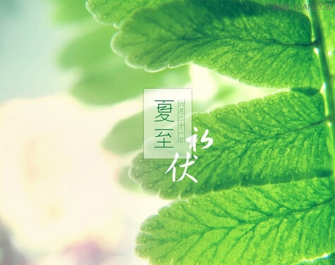 夏至愿望
