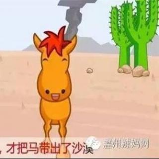 谚语告白