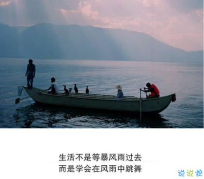 窦音随意句