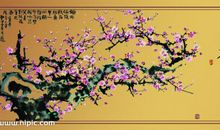 赞扬梅花精神的诗句