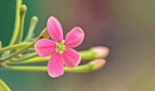 朋友圈励志的句子：做好手中事，珍惜眼前人