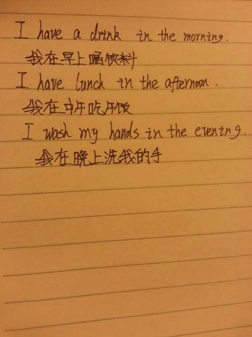 用在句子中