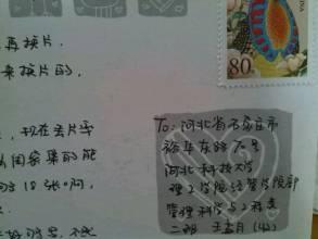 给前男友的信