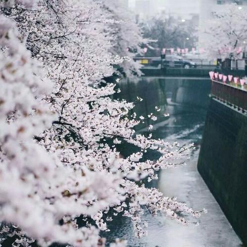 放松句子