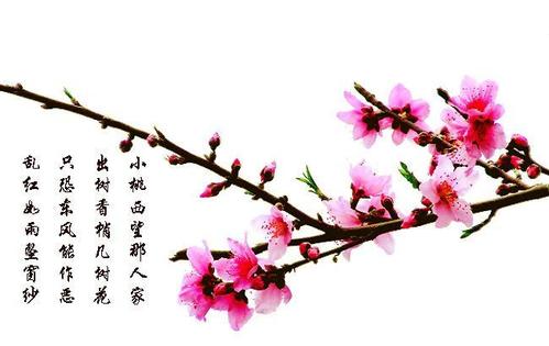 描述幸福的寓言