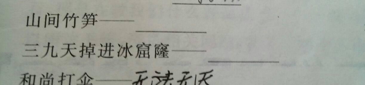 山上的竹笋