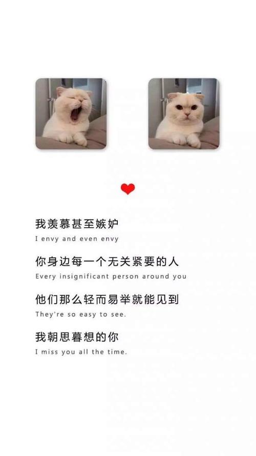 豆阴温馨句子