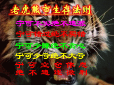 股票报价