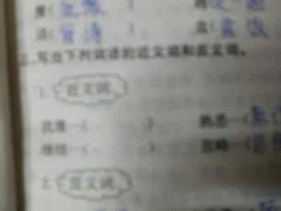 不要犹豫