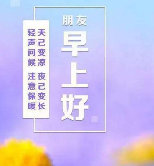 抒情句子
