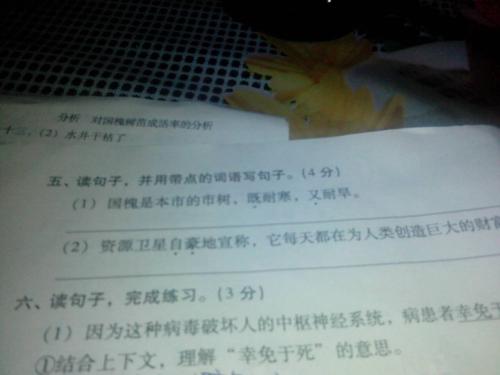 柳叶寓言