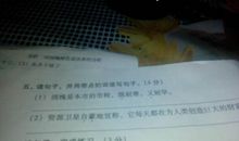 写柳叶的比喻句