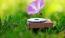 对人生感悟的句子说说:不曾扬帆,何以至远方