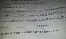 用闪电写比喻句