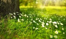 人生就是四季,过了冬有夏,过了秋有春