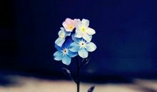 一句话心情签名2020