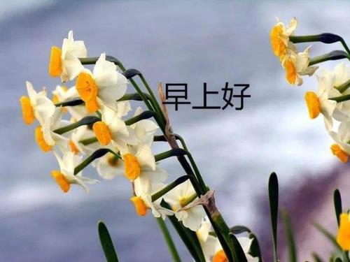 毕业八字