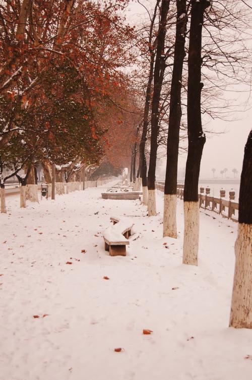 在雪地里散步