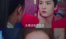 将军在上经典语录