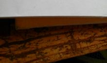 月亮里有桂树歇后语