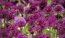 2020经典一句话说说